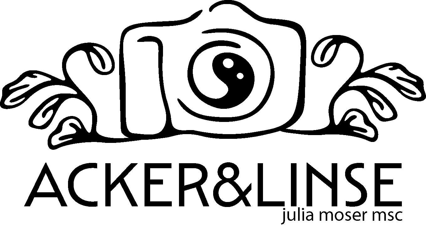 KameraJugendstil-schwarz